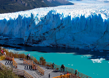 Calafate