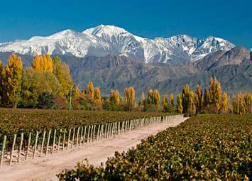 Mendoza