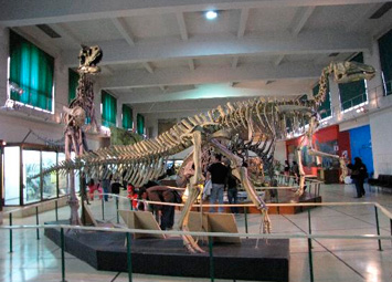 Museo de Ciencias Naturales